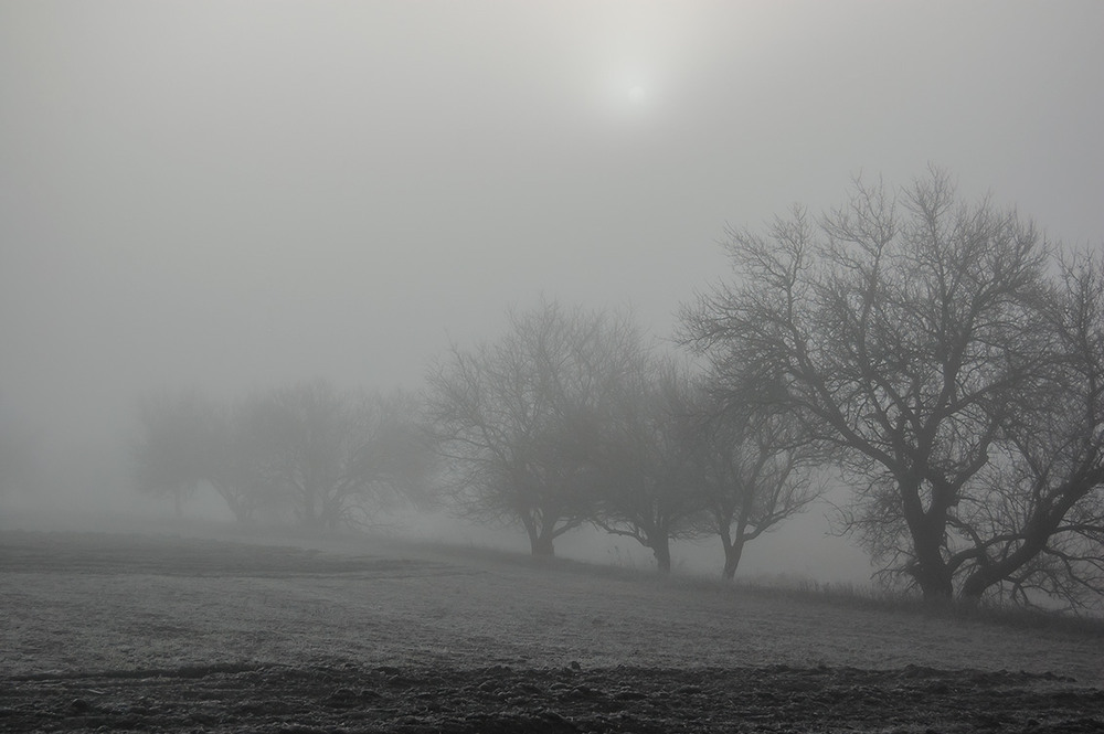 Фотографія *** / Евгений Шамай / photographers.ua