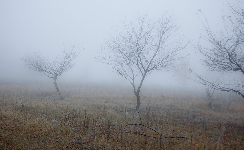 Фотографія *** / Евгений Шамай / photographers.ua