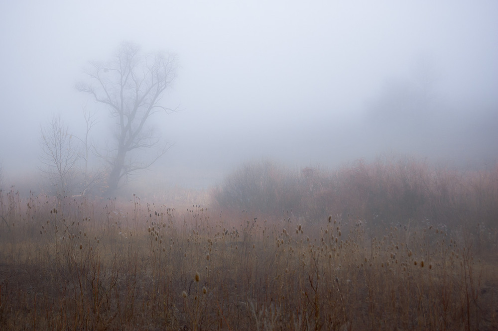 Фотографія *** / Евгений Шамай / photographers.ua