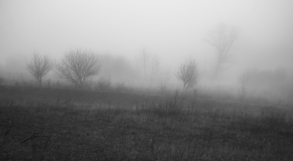 Фотографія *** / Евгений Шамай / photographers.ua