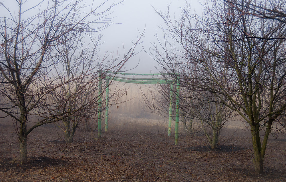 Фотографія *** / Евгений Шамай / photographers.ua