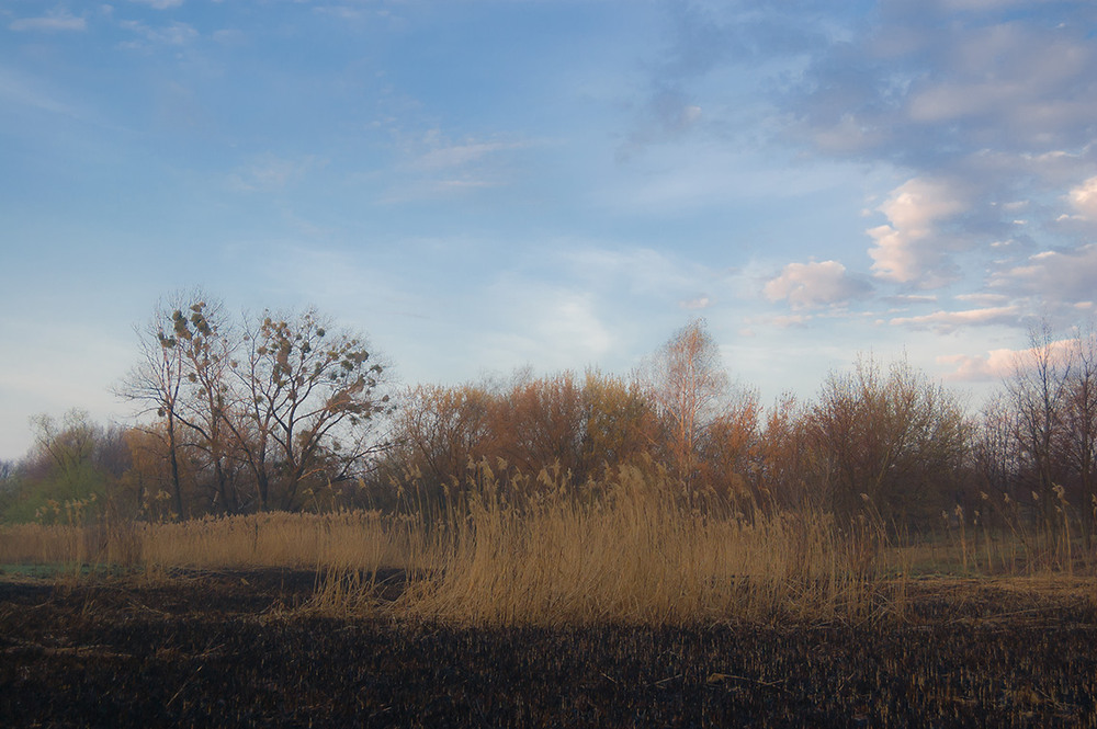 Фотографія *** / Евгений Шамай / photographers.ua