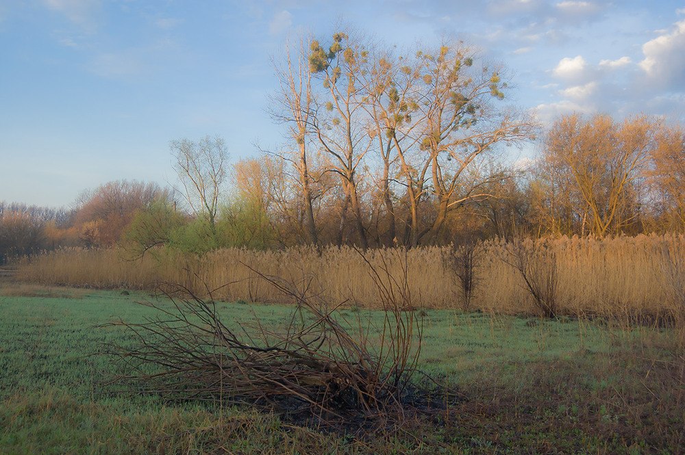 Фотографія *** / Евгений Шамай / photographers.ua
