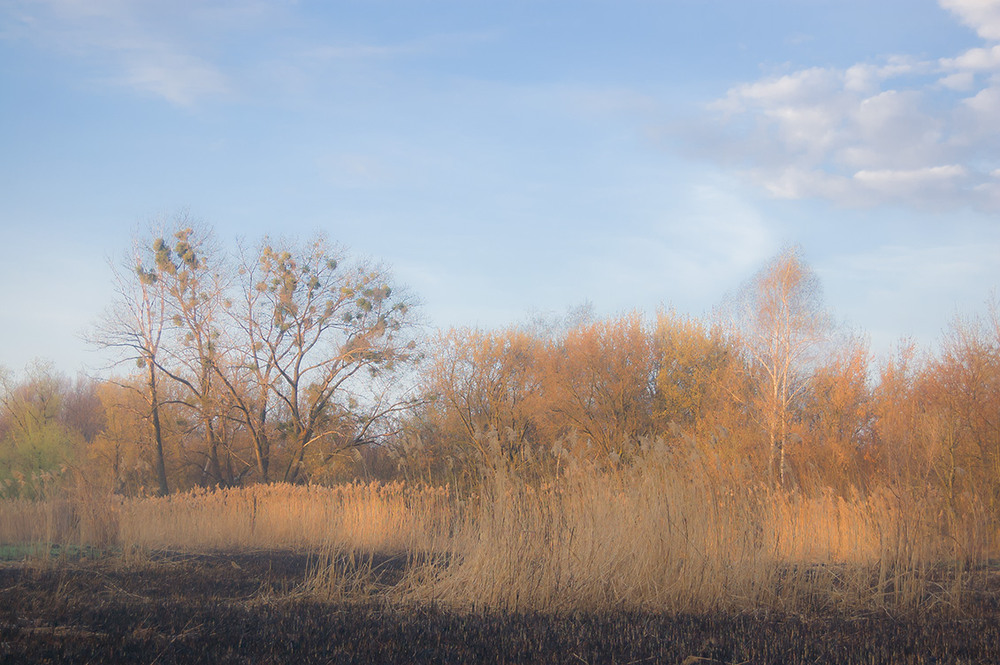 Фотографія *** / Евгений Шамай / photographers.ua