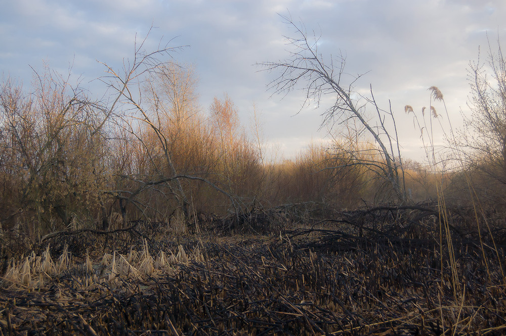 Фотографія *** / Евгений Шамай / photographers.ua