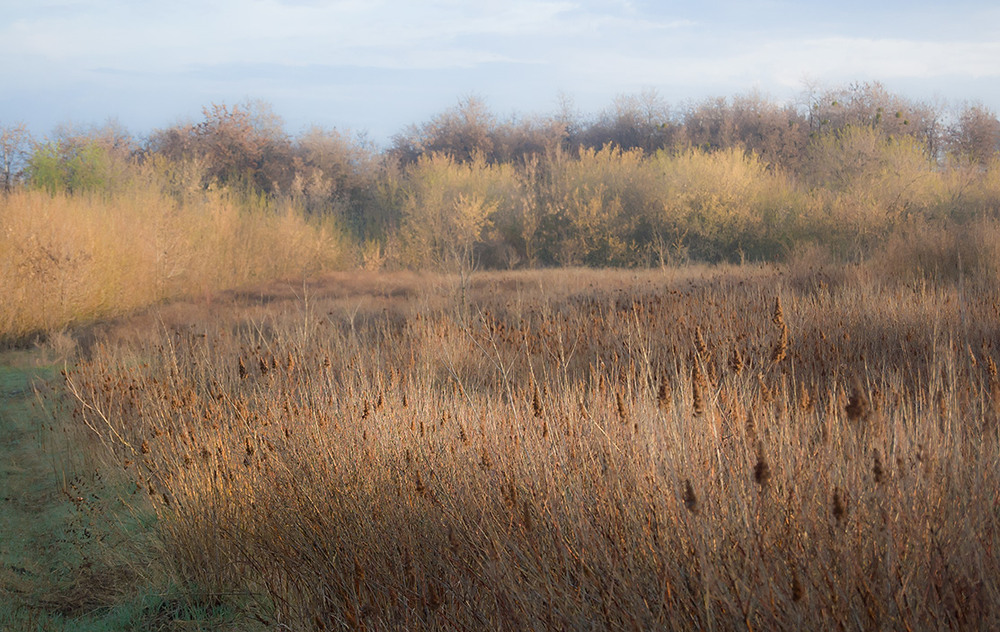 Фотографія *** / Евгений Шамай / photographers.ua