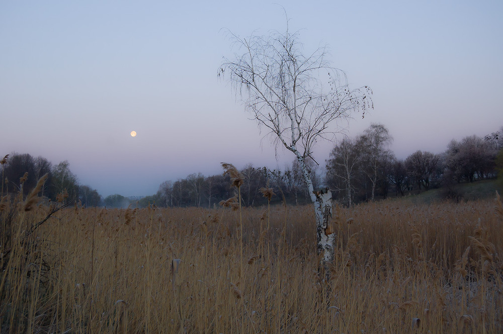 Фотографія *** / Евгений Шамай / photographers.ua