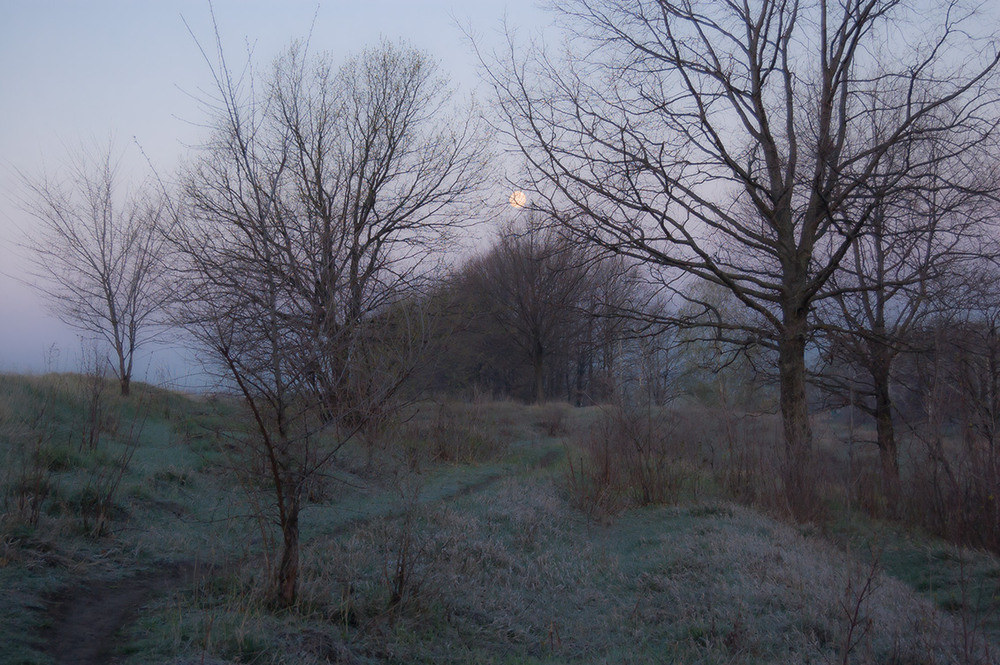 Фотографія *** / Евгений Шамай / photographers.ua