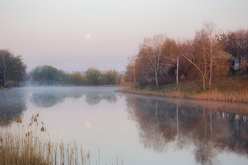 Фотографія *** / Евгений Шамай / photographers.ua