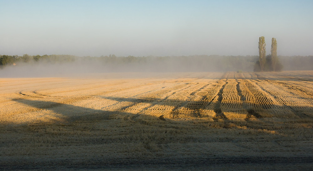 Фотографія *** / Евгений Шамай / photographers.ua