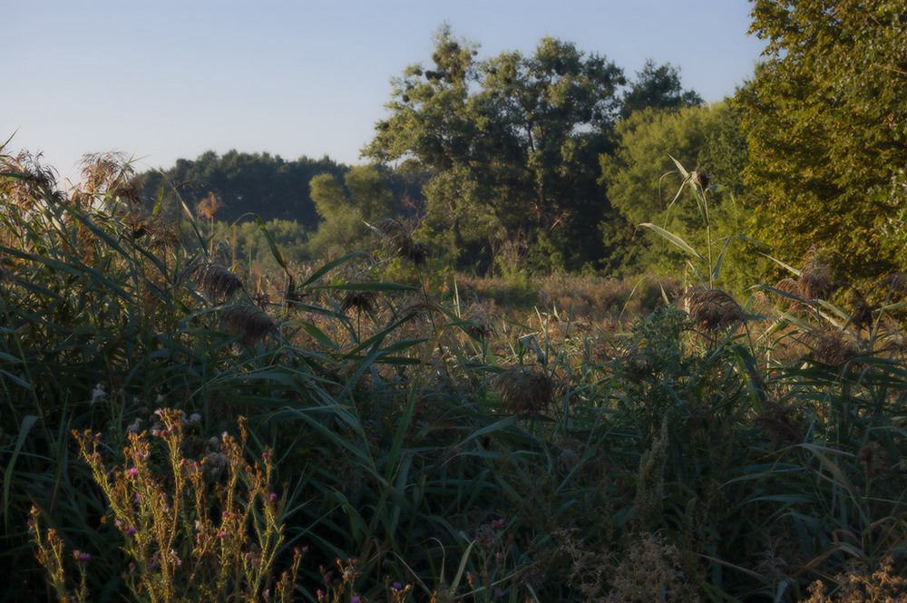 Фотографія *** / Евгений Шамай / photographers.ua