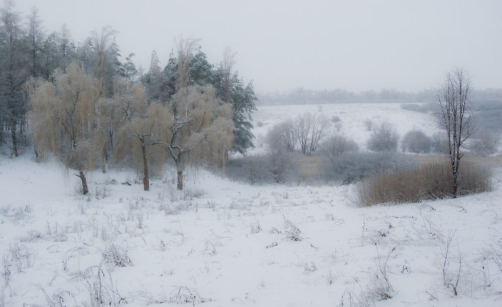 Фотографія *** / Евгений Шамай / photographers.ua