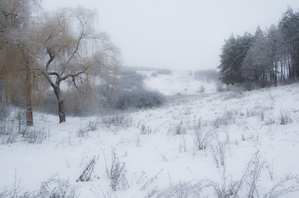 Фотографія *** / Евгений Шамай / photographers.ua