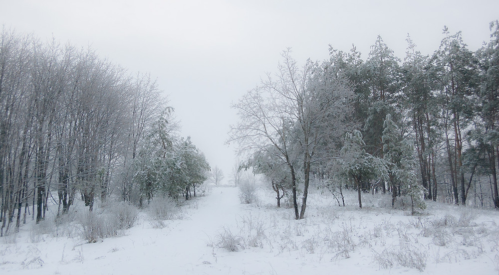 Фотографія *** / Евгений Шамай / photographers.ua