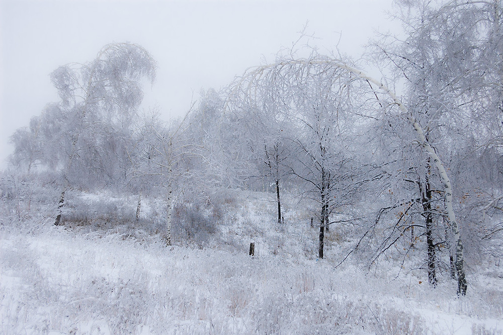 Фотографія *** / Евгений Шамай / photographers.ua