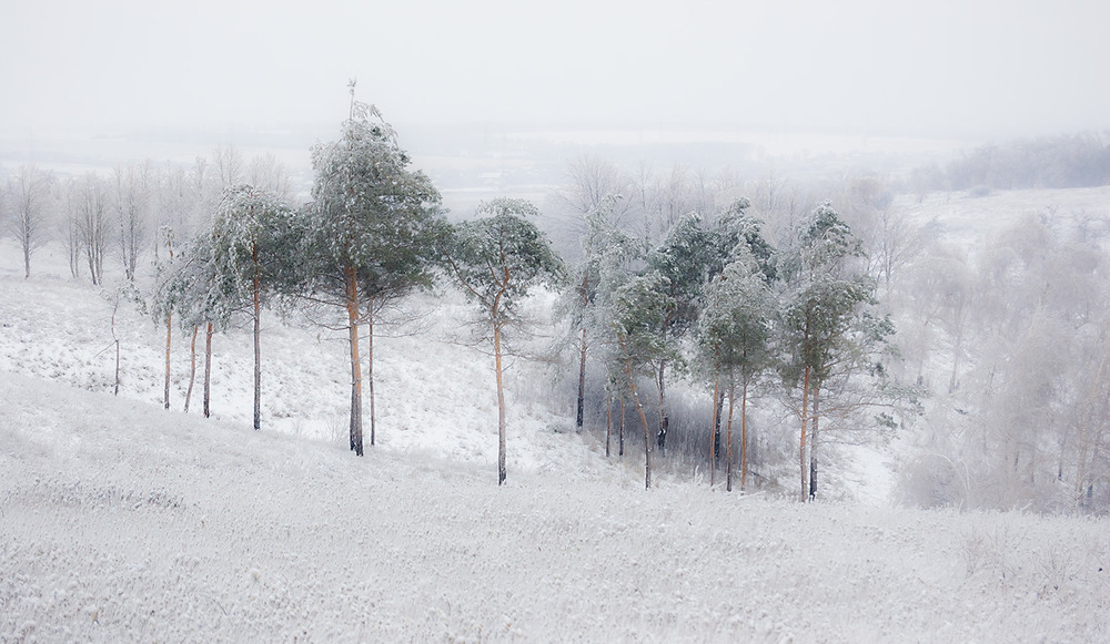 Фотографія *** / Евгений Шамай / photographers.ua