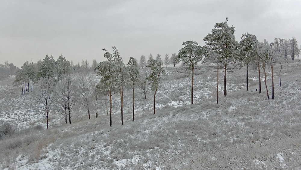Фотографія *** / Евгений Шамай / photographers.ua