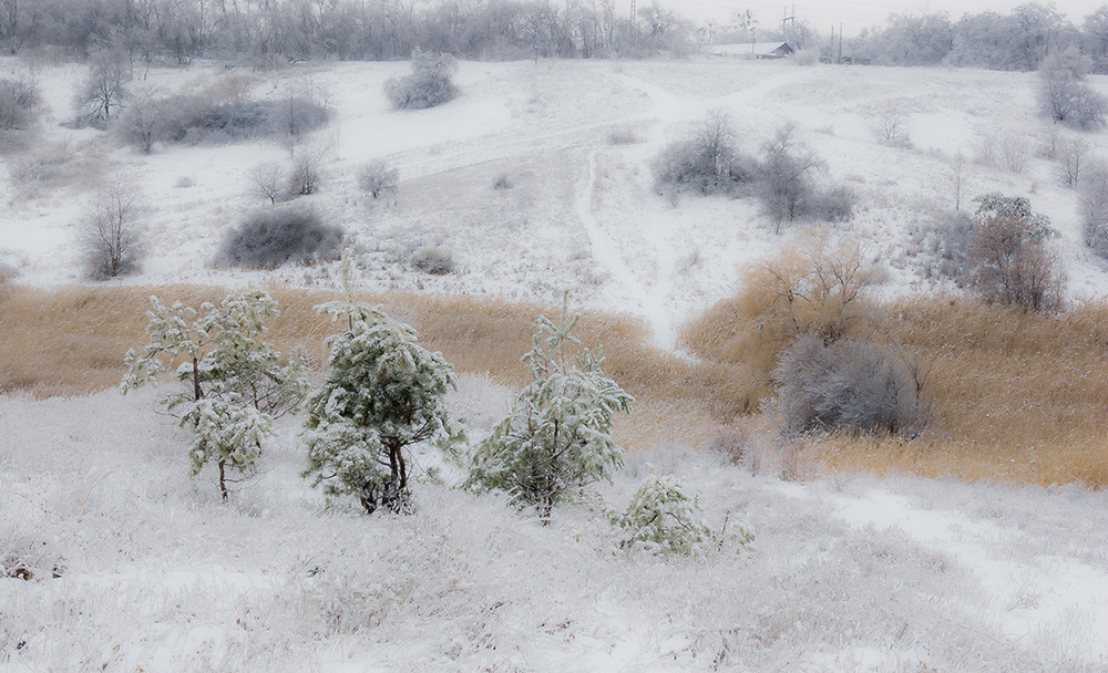 Фотографія *** / Евгений Шамай / photographers.ua
