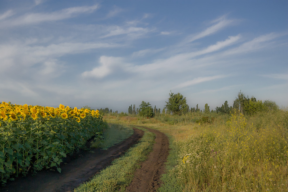 Фотографія *** / Евгений Шамай / photographers.ua