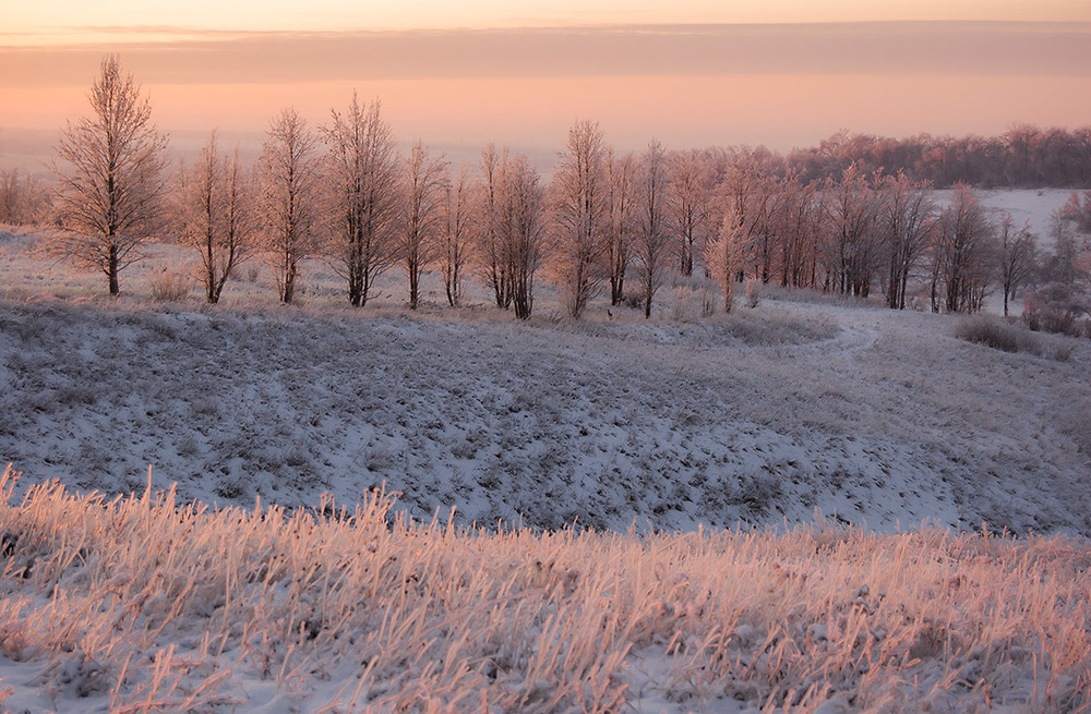 Фотографія *** / Евгений Шамай / photographers.ua