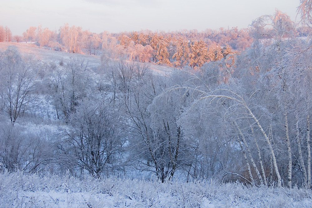 Фотографія *** / Евгений Шамай / photographers.ua