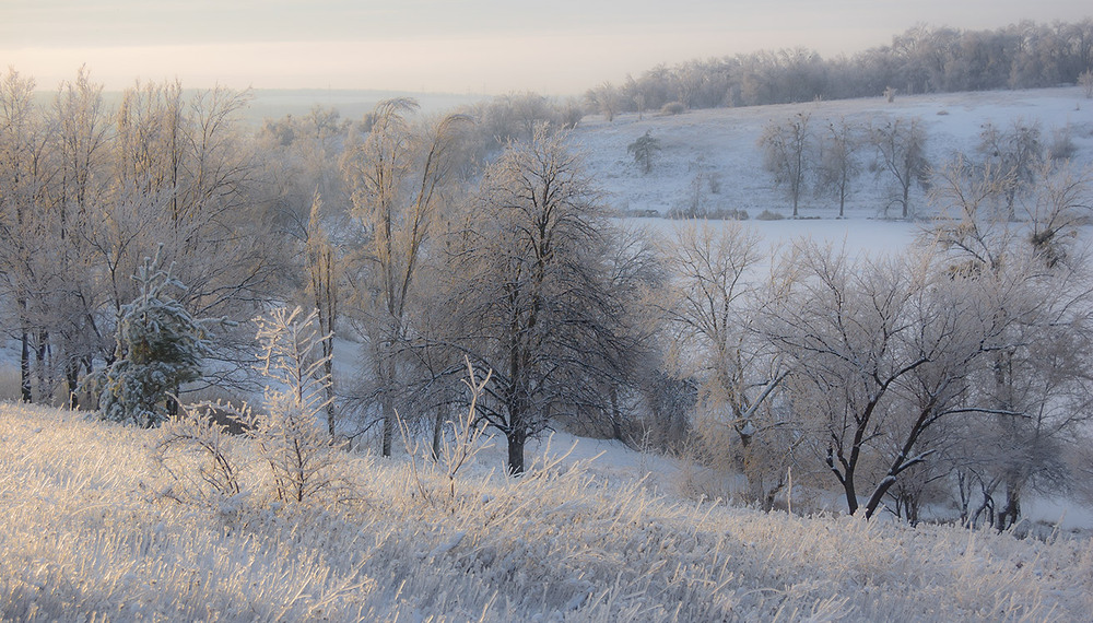 Фотографія *** / Евгений Шамай / photographers.ua