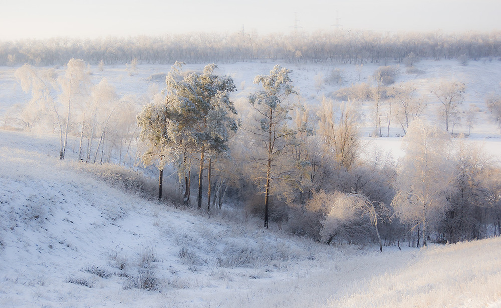 Фотографія *** / Евгений Шамай / photographers.ua
