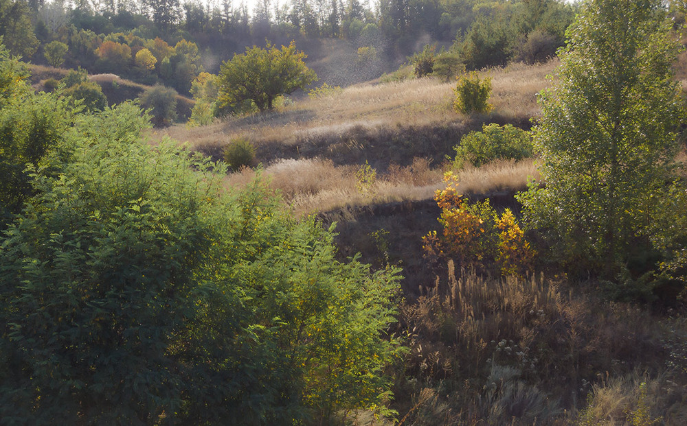 Фотографія *** / Евгений Шамай / photographers.ua