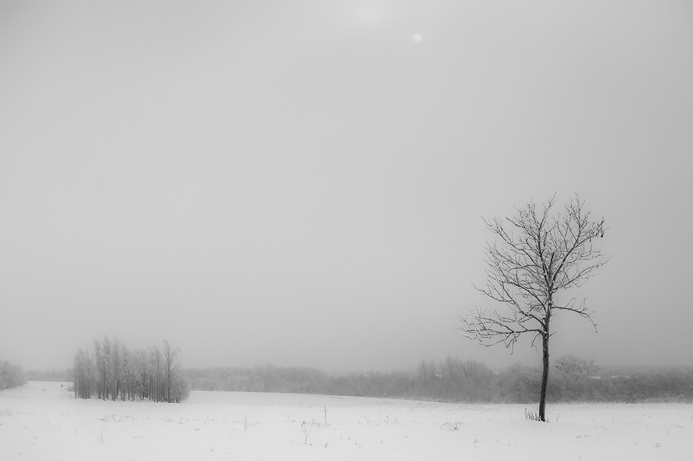 Фотографія *** / Евгений Шамай / photographers.ua