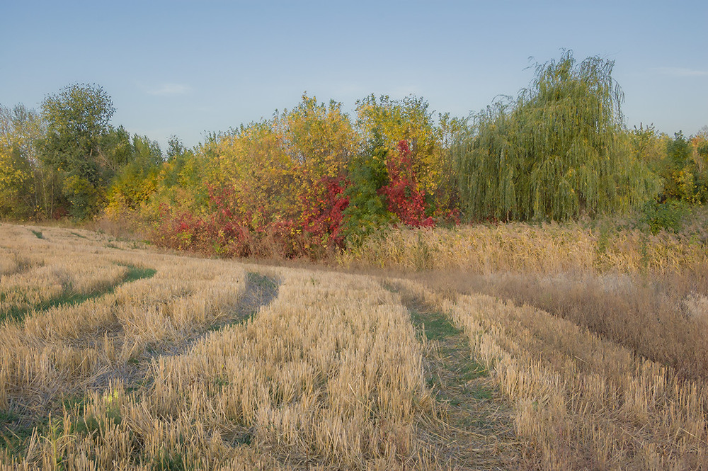 Фотографія *** / Евгений Шамай / photographers.ua