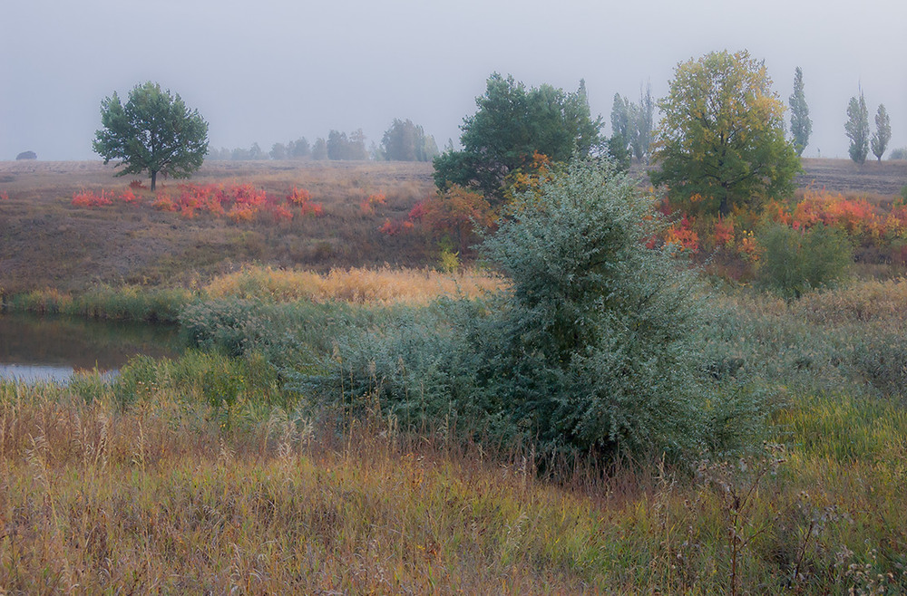 Фотографія *** / Евгений Шамай / photographers.ua
