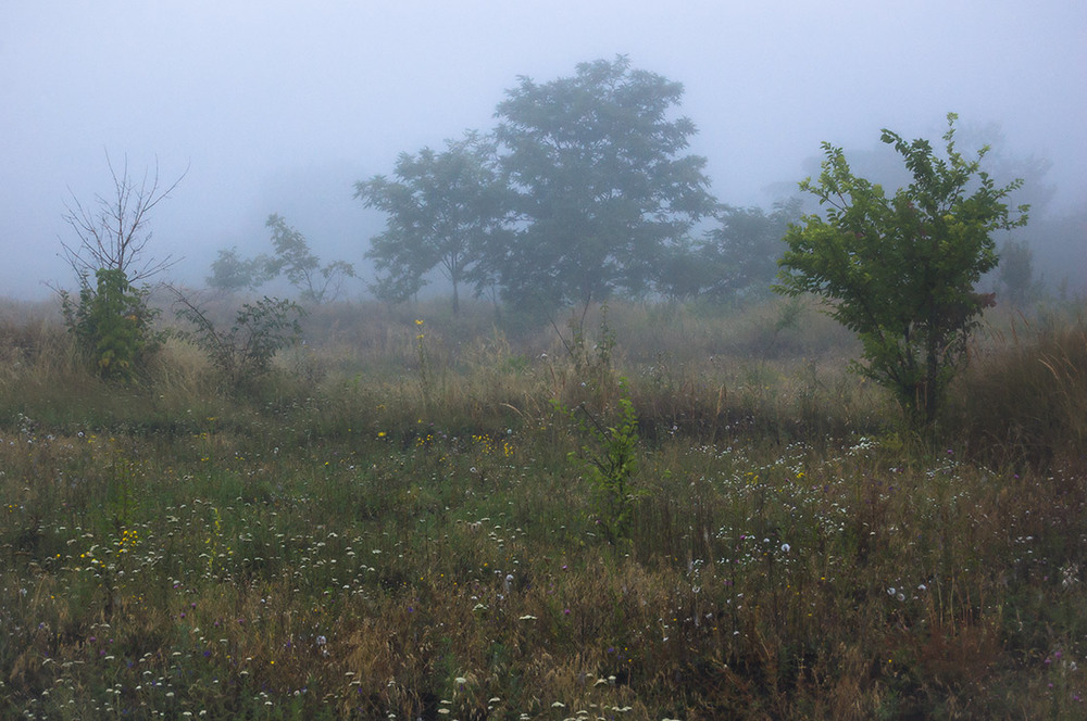 Фотографія *** / Евгений Шамай / photographers.ua