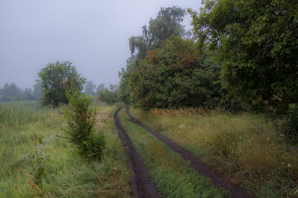 Фотографія *** / Евгений Шамай / photographers.ua