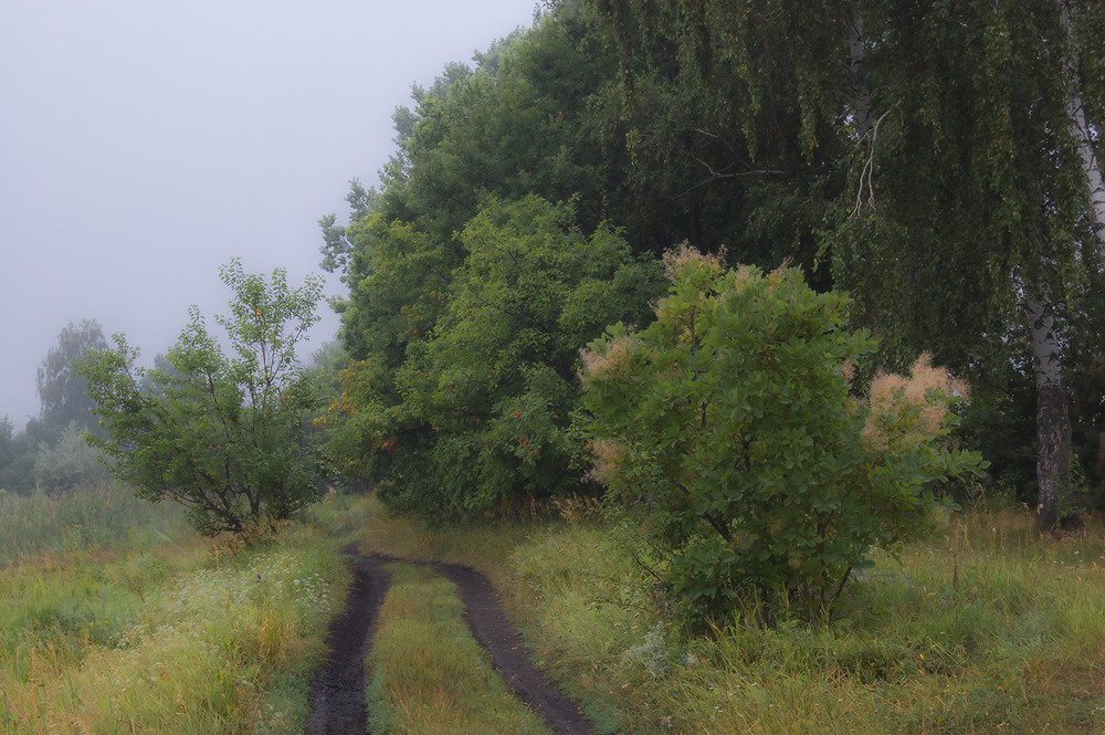 Фотографія *** / Евгений Шамай / photographers.ua