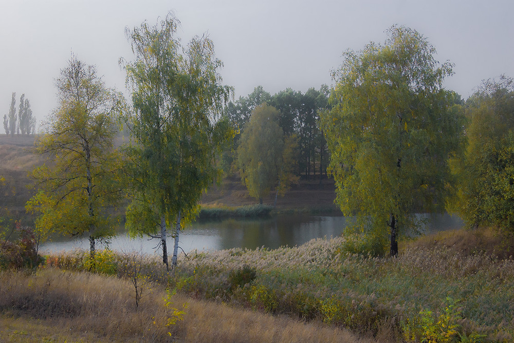 Фотографія *** / Евгений Шамай / photographers.ua