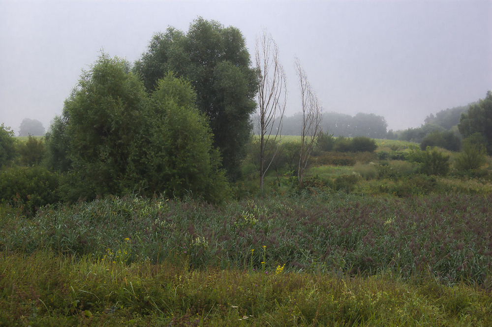 Фотографія *** / Евгений Шамай / photographers.ua