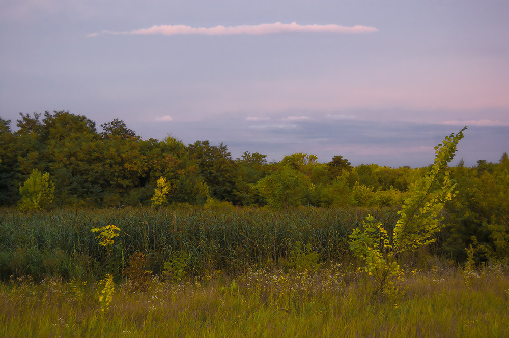 Фотографія *** / Евгений Шамай / photographers.ua