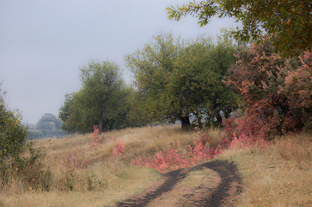 Фотографія *** / Евгений Шамай / photographers.ua