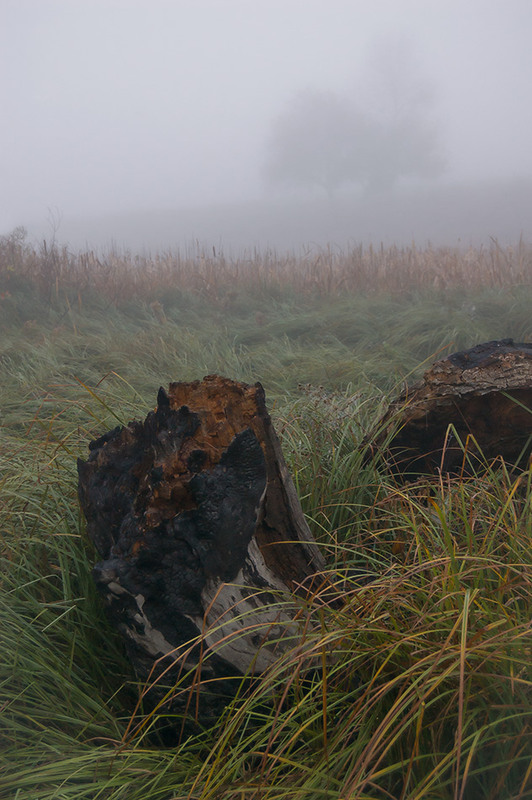 Фотографія *** / Евгений Шамай / photographers.ua