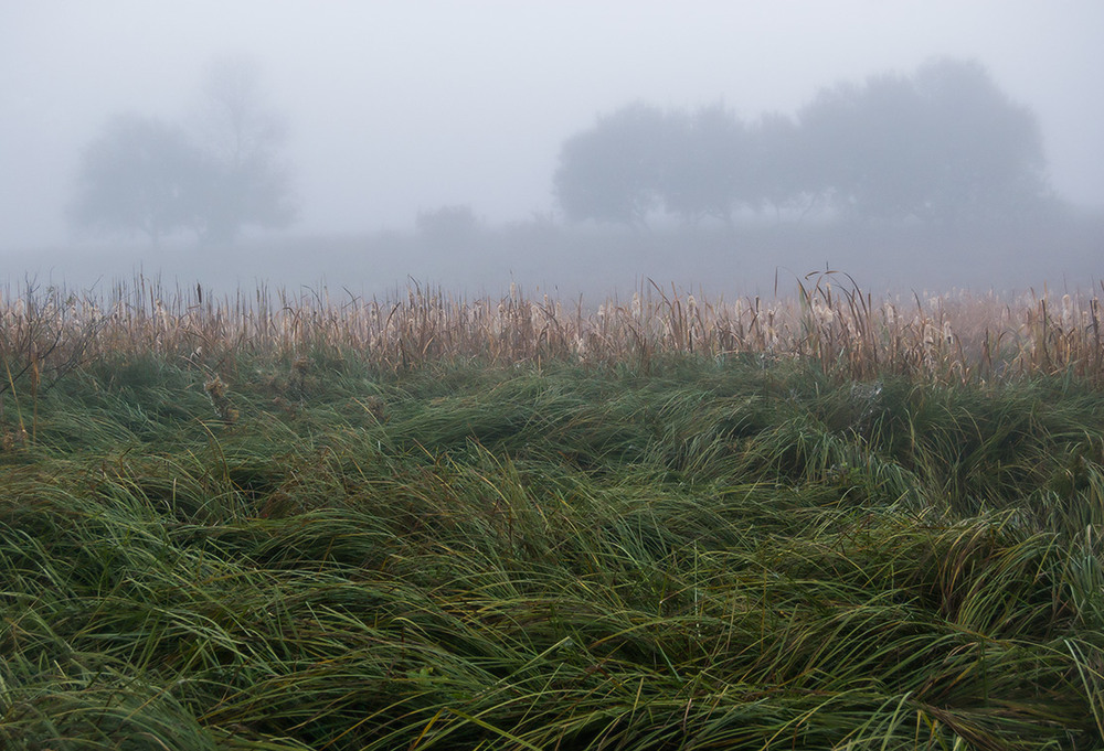 Фотографія *** / Евгений Шамай / photographers.ua