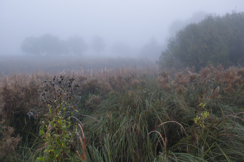Фотографія *** / Евгений Шамай / photographers.ua