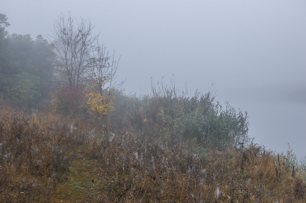 Фотографія *** / Евгений Шамай / photographers.ua