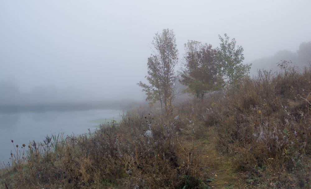 Фотографія *** / Евгений Шамай / photographers.ua