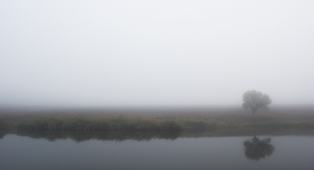 Фотографія *** / Евгений Шамай / photographers.ua