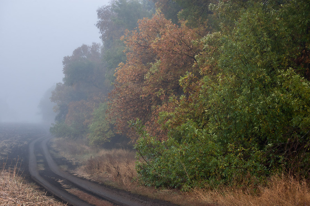 Фотографія *** / Евгений Шамай / photographers.ua