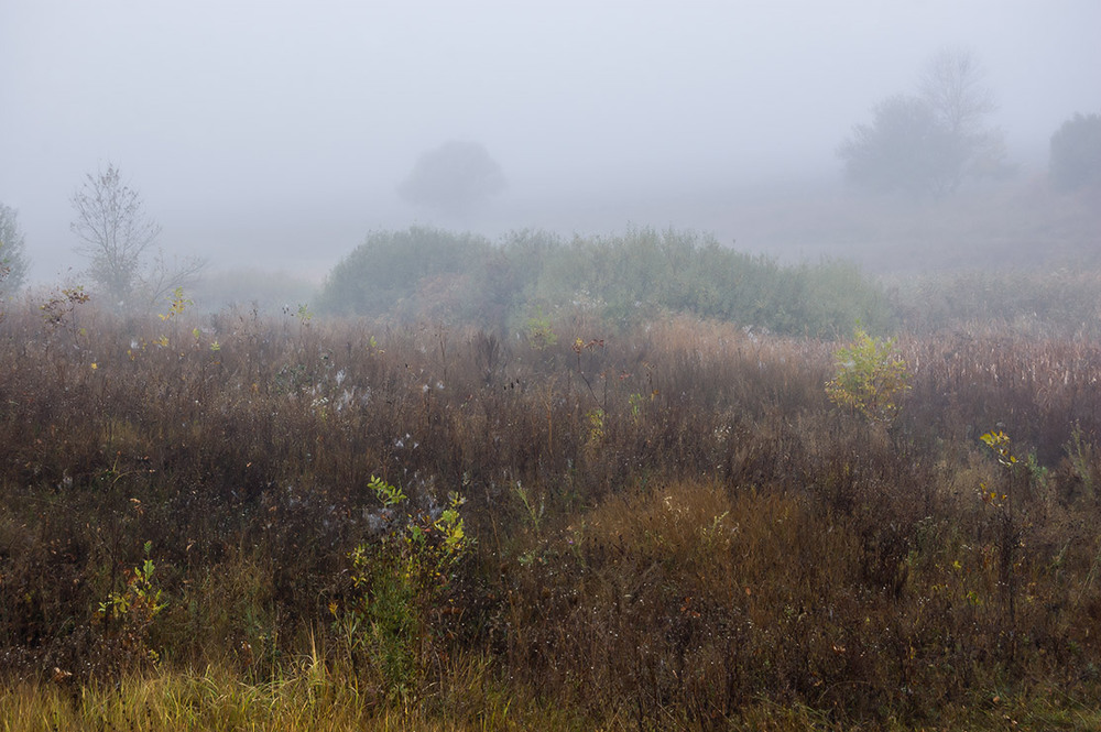Фотографія *** / Евгений Шамай / photographers.ua