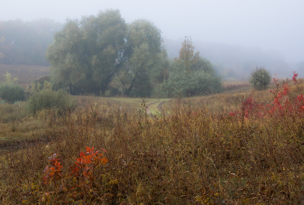 Фотографія *** / Евгений Шамай / photographers.ua