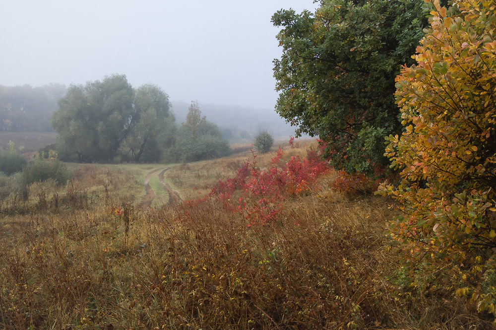 Фотографія *** / Евгений Шамай / photographers.ua