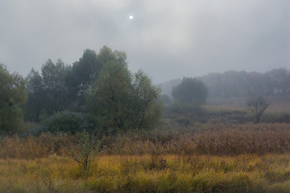 Фотографія *** / Евгений Шамай / photographers.ua