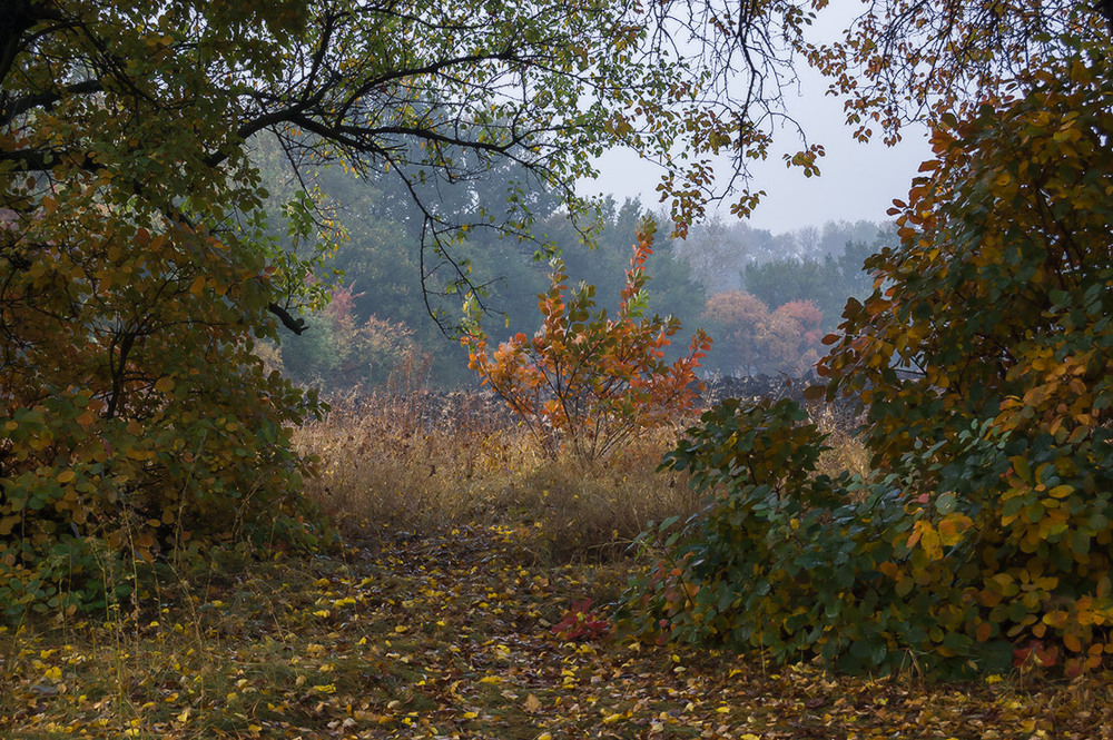 Фотографія *** / Евгений Шамай / photographers.ua